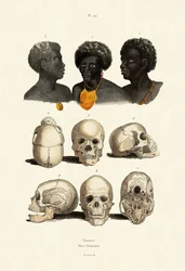 Etíopes, 1833-39